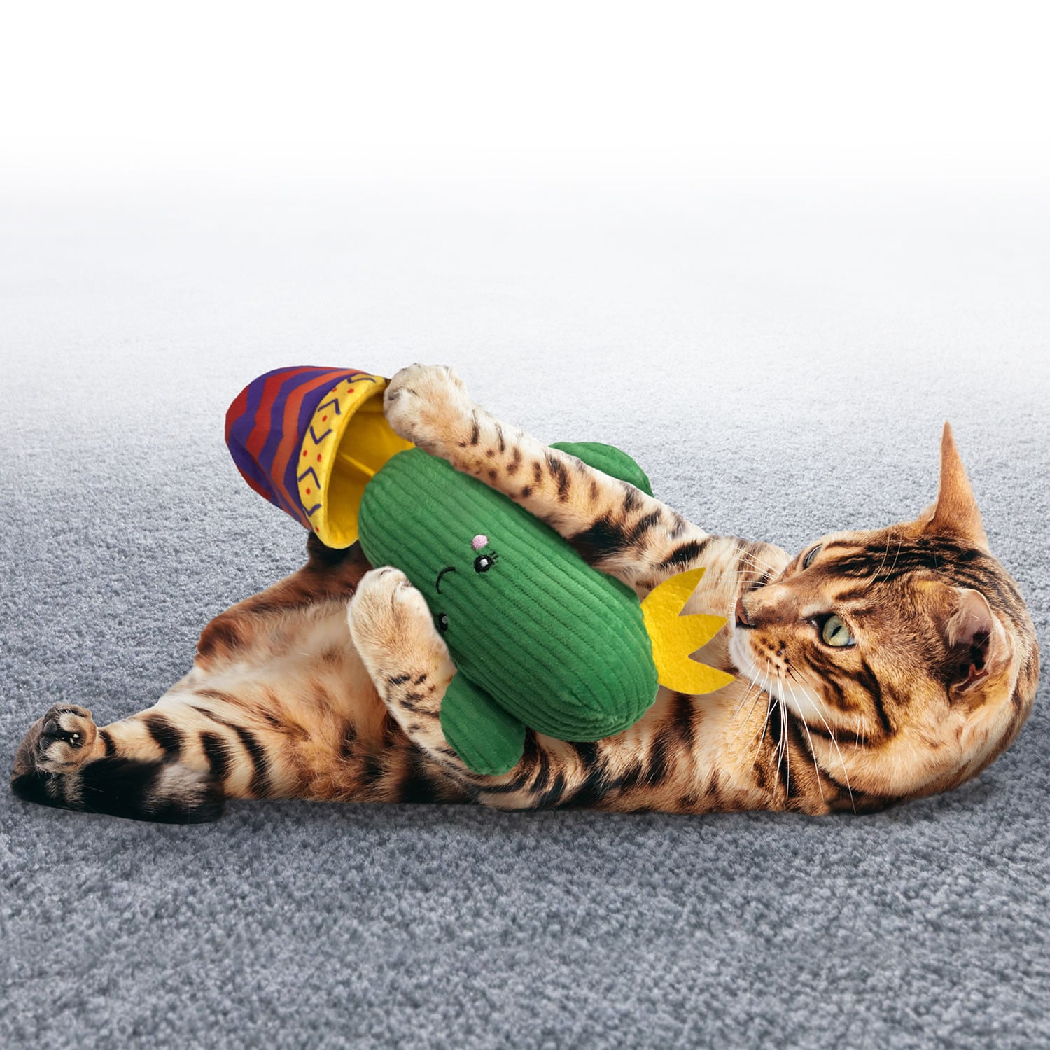 Kong Cat Wrangler Cactus CACTUS