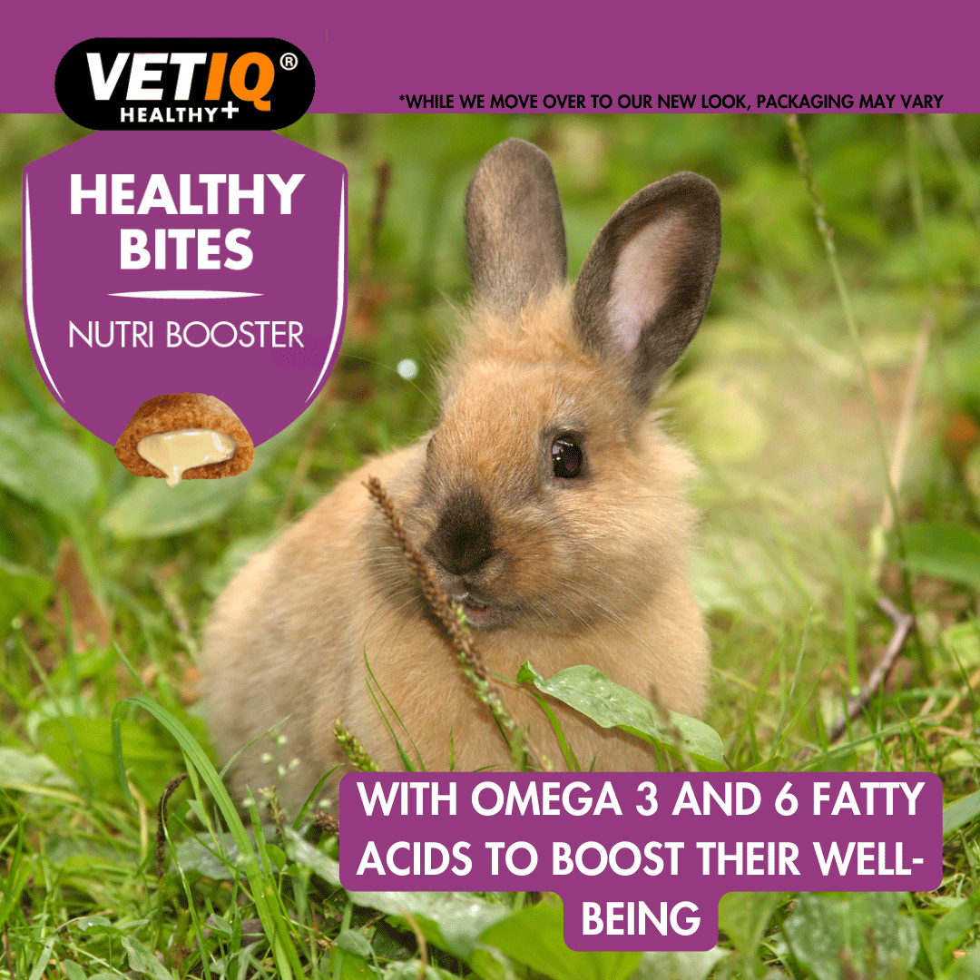 Vetiq Healthy Bites Nutri BoosterFor Small Animals 30g