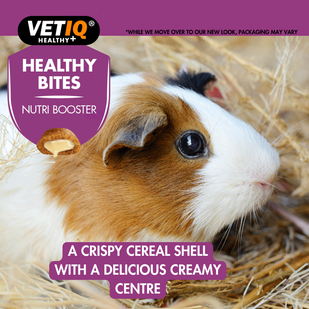 Vetiq Healthy Bites Nutri BoosterFor Small Animals 30g