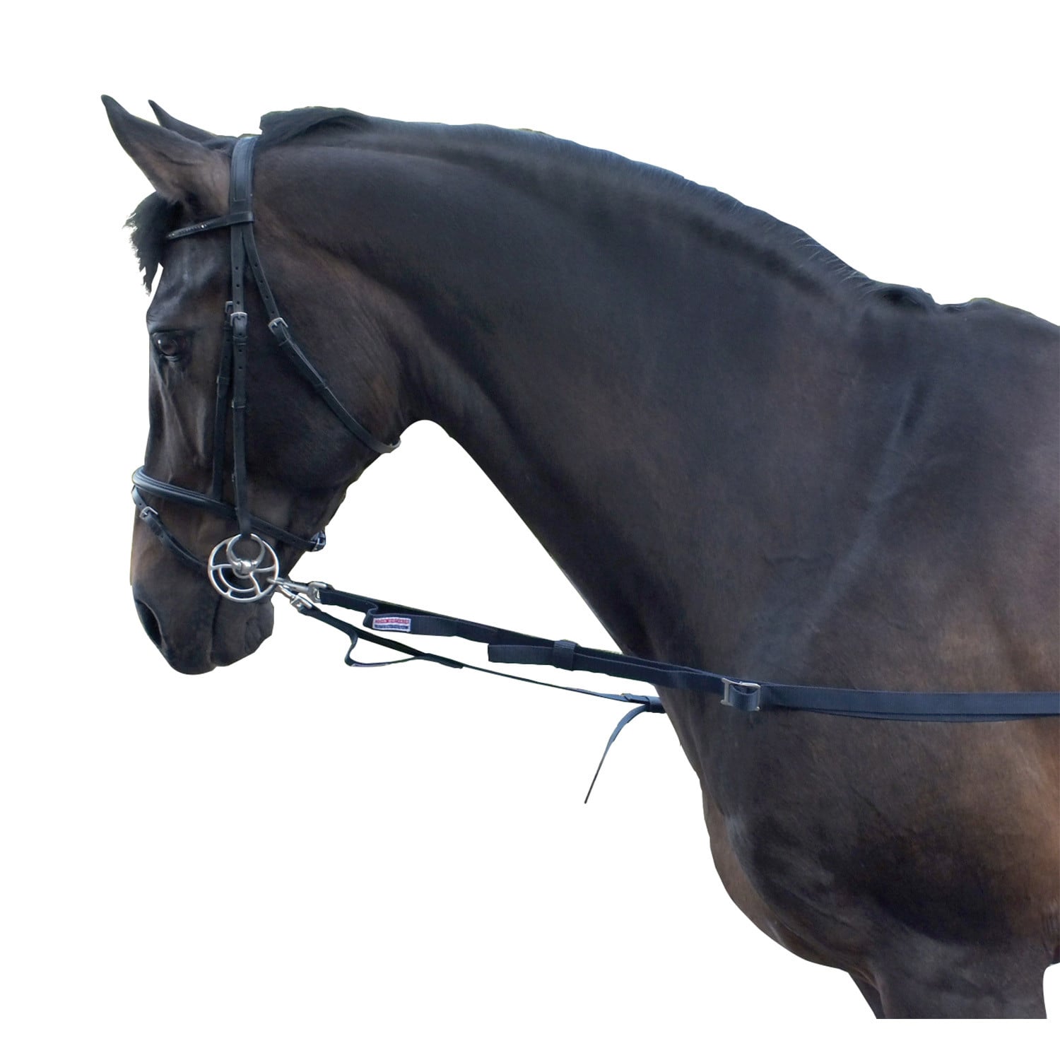 Whitaker Elasticated Side Reins NAVY
