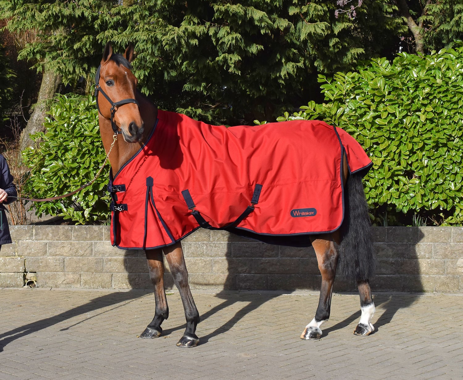 Whitaker Rastrick Turnout Rug 0Gm Red