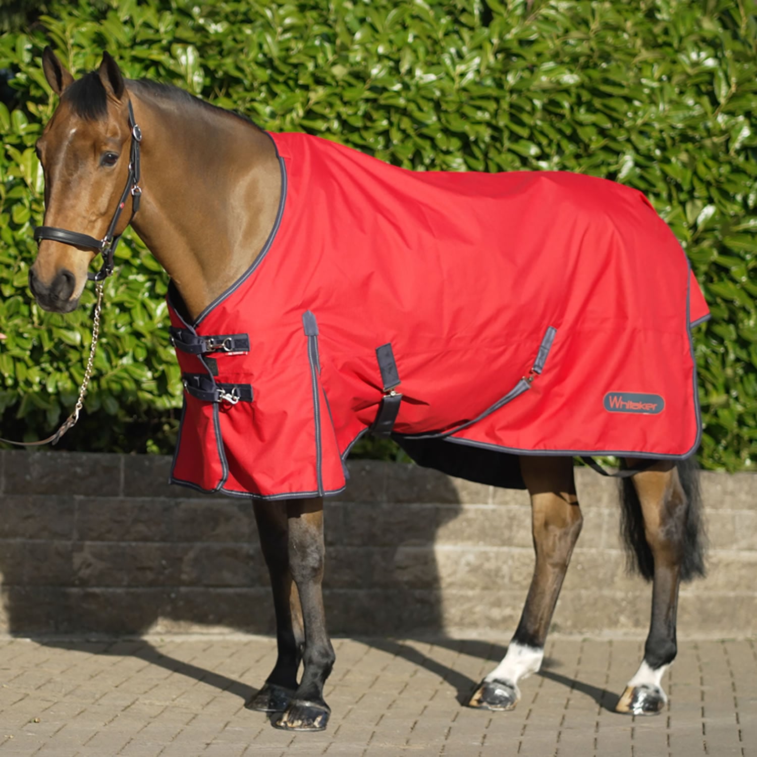 Whitaker Rastrick Turnout Rug 100Gm Red
