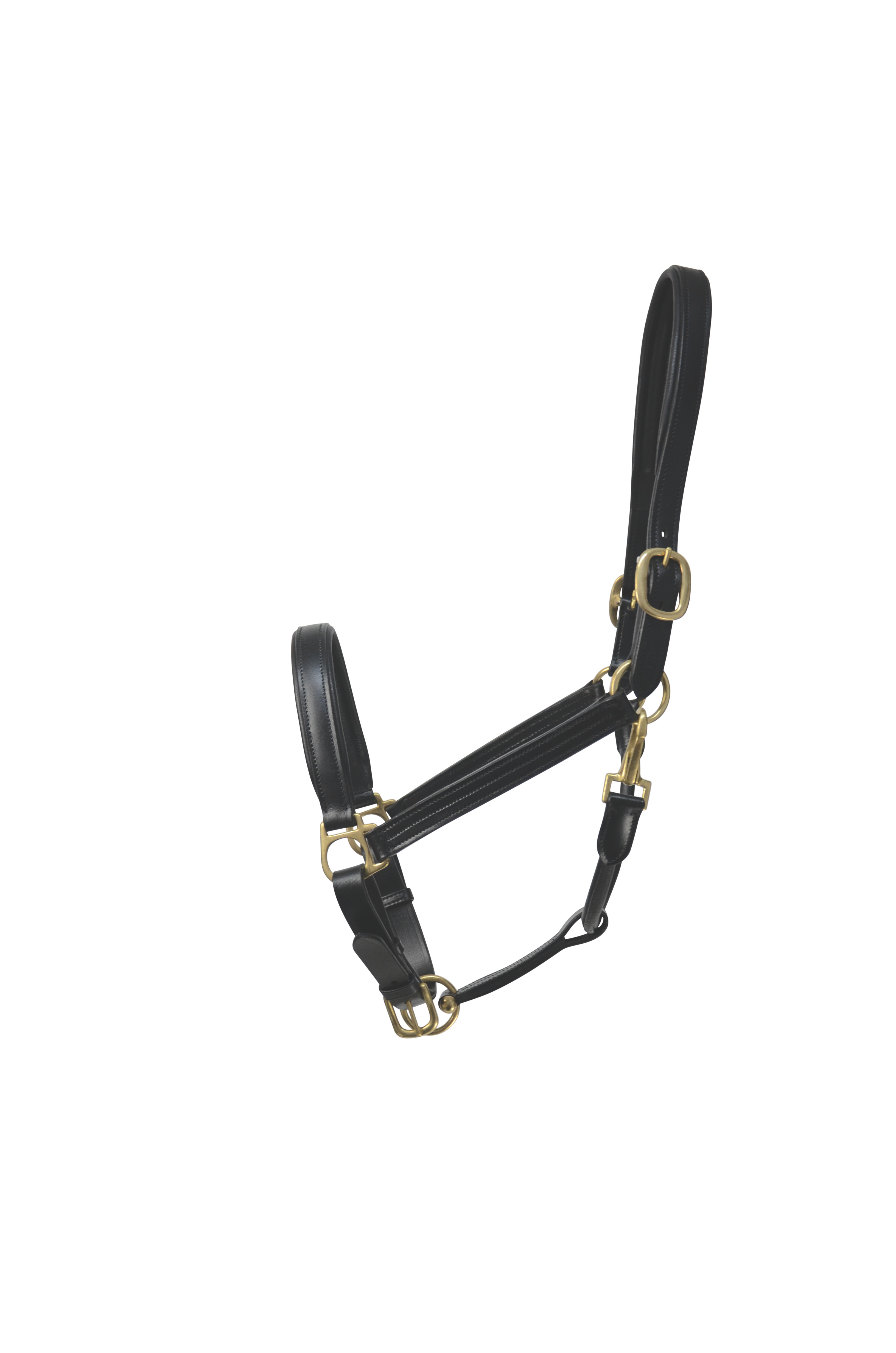 Coldstream Leather Padded Head Collar