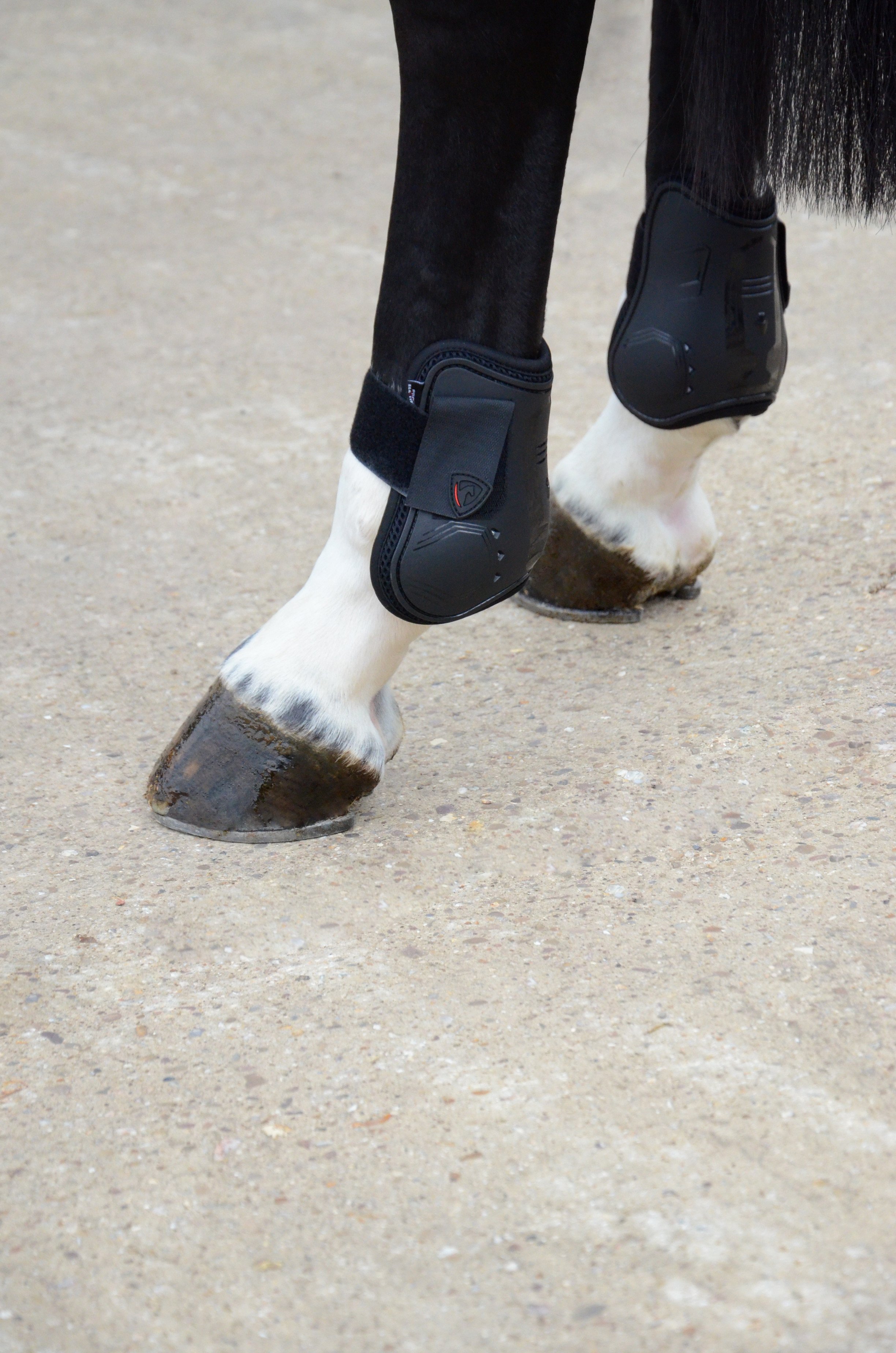 Hy Equestrian Armoured Guard Pro Reaction Fetlock Boot