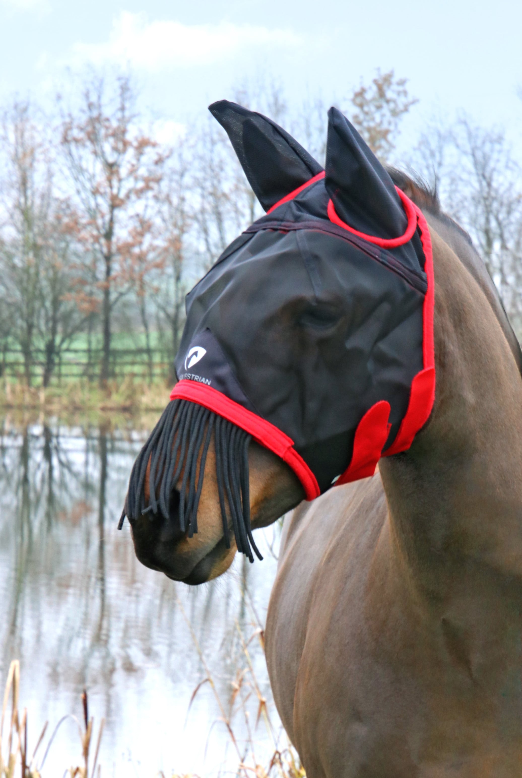 Hy Equestrian Mesh Half Mask with Ears and Fringe - Black