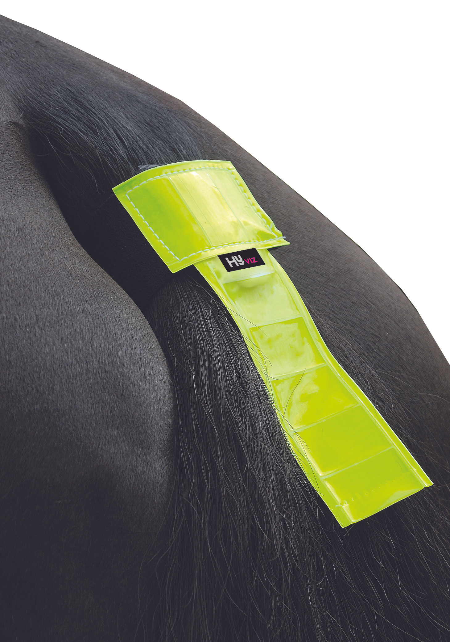 HyVIZ Tail Band by Hy Equestrian