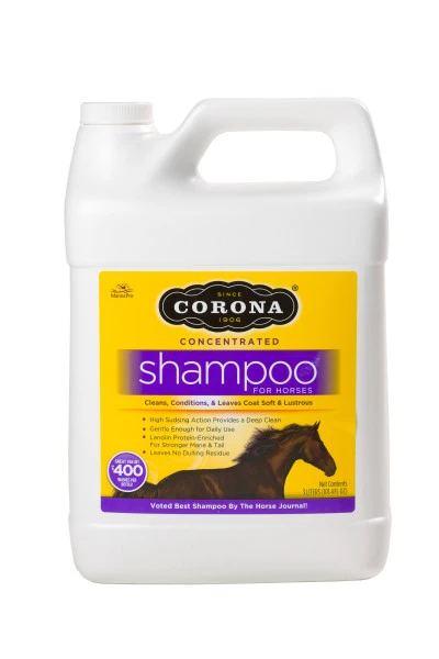Corona Concentrated Shampoo