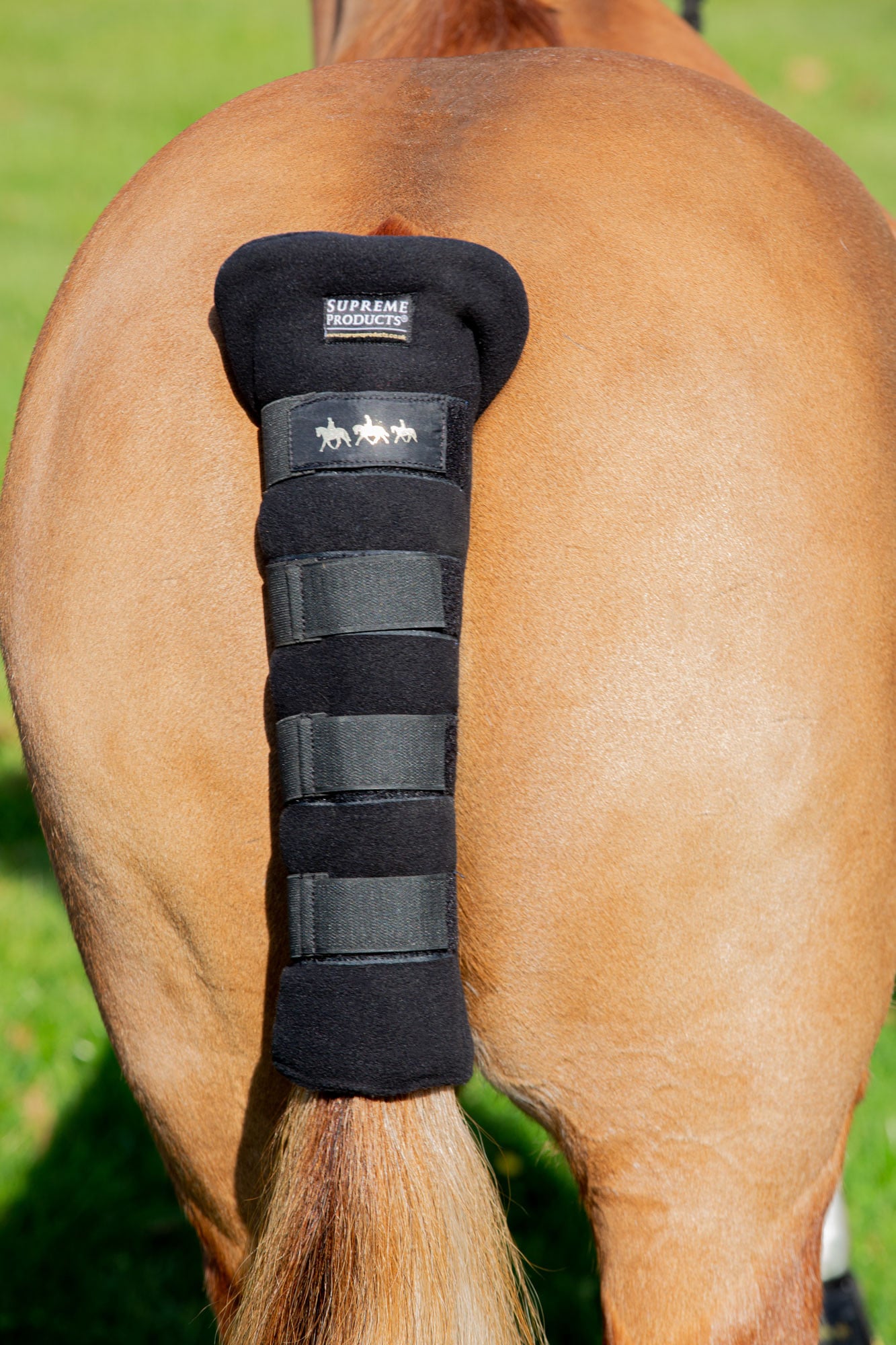 Supreme Products Royal Occasion Tail Guard