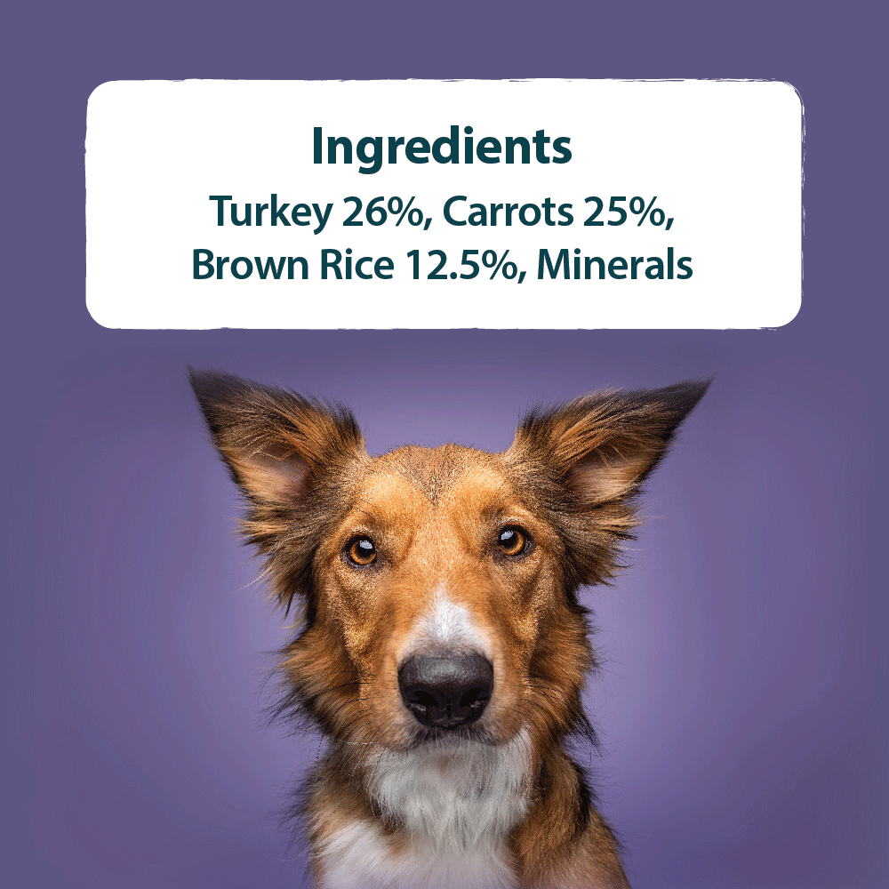 Burns Wet Food Mixed Variety Box