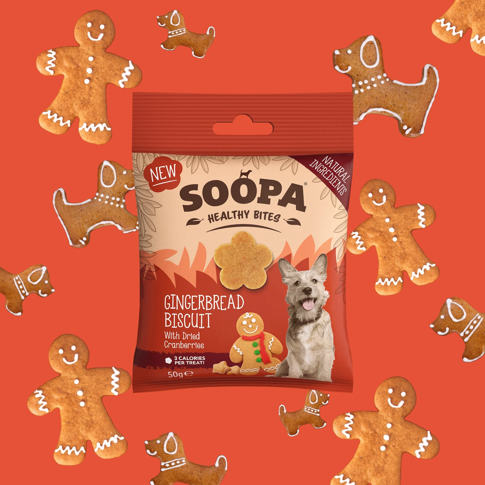 Soopa Gingerbread Biscuit Healthy Bites 50g
