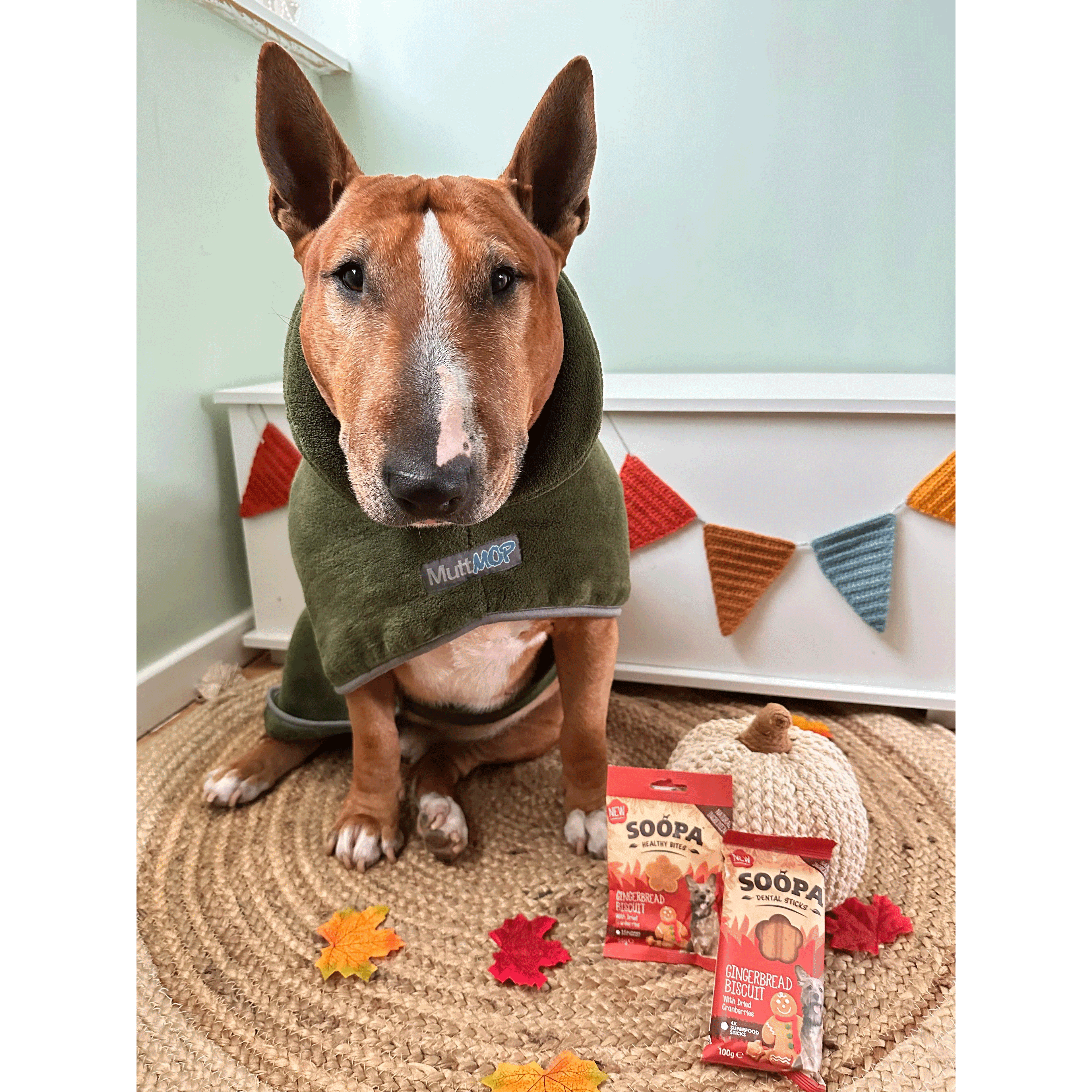 Soopa Gingerbread Biscuit Healthy Bites 50g