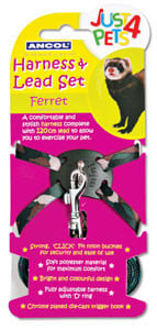 Just 4 Pets Ferret Harness & Lead Set