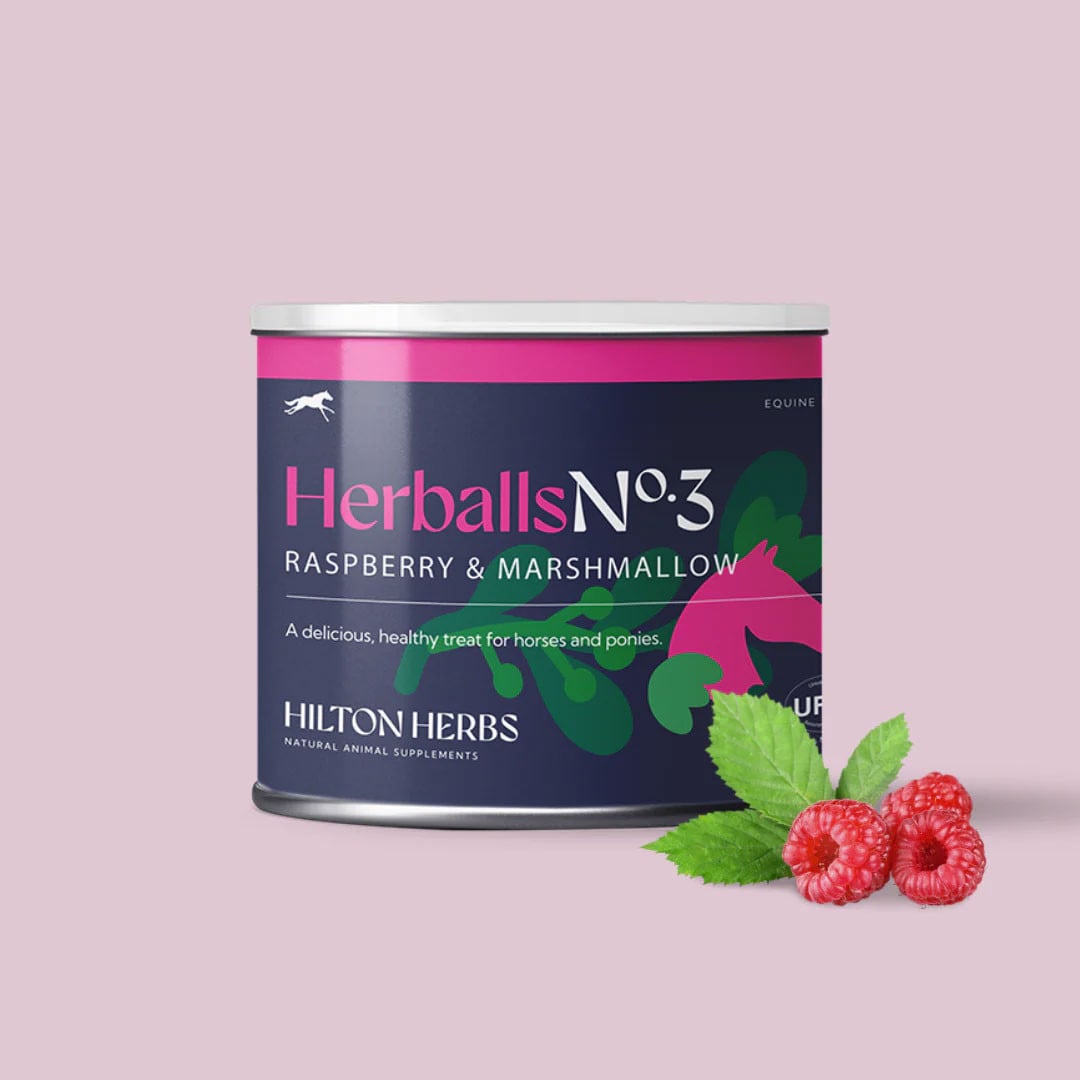 Hilton Herbs Herballs No3
