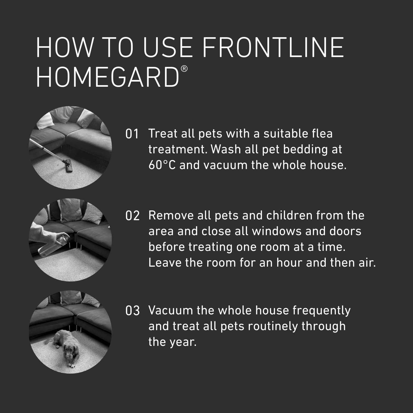 Frontline Homegard Spray 500ml