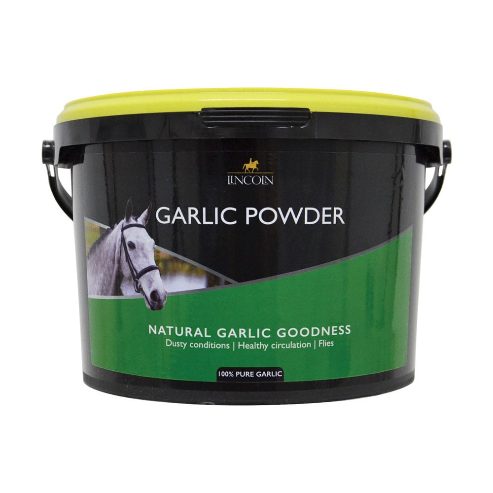 Lincoln Garlic Powder 2kg