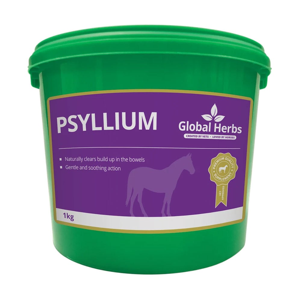 Global Herbs Psyllium 1kg