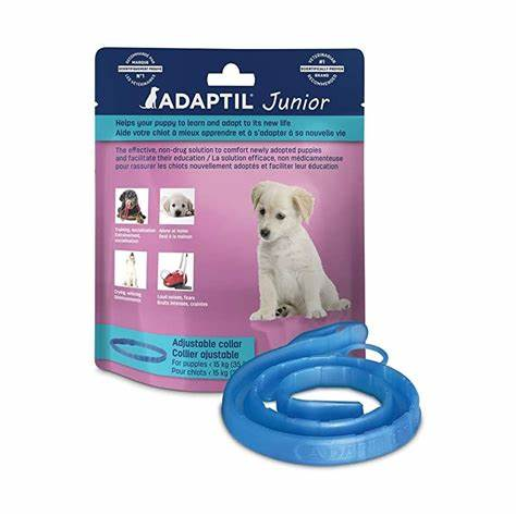Adaptil Junior Collar