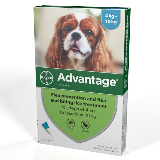 Advantage 100 (for dogs between 4-10kg) pack of 4