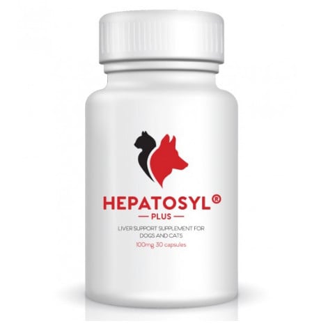 Hepatosyl Plus 100mg Capsules (pack of 30)