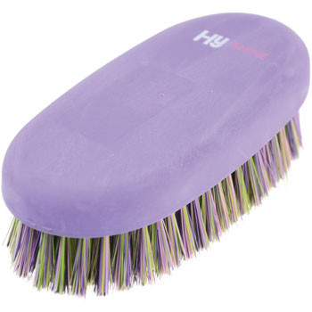 HySHINE Multi Colour Body Brush(Purple/Multi) 15 x 7cm