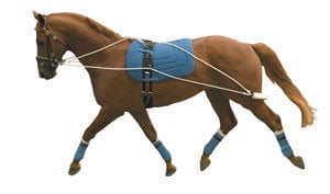 Kincade Lunging Training System