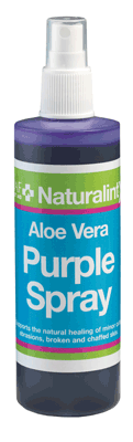 NAF NaturalintX Aloe Vera Purple Spray 240ml