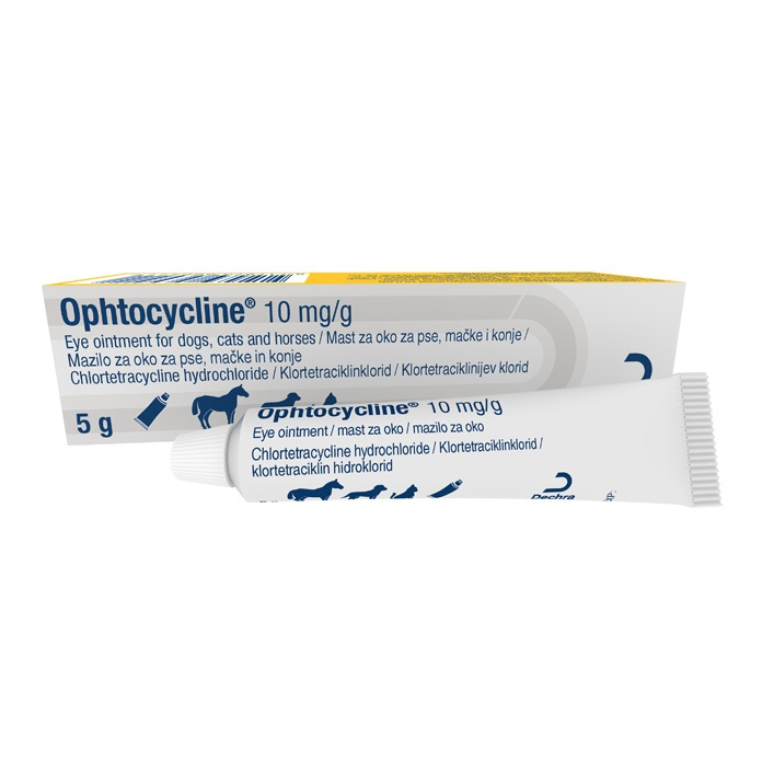 Ophtocycline 10mg Eye Ointment for Dogs, Cats and Horses