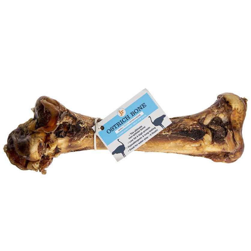 JR Large Ostrich Bone
