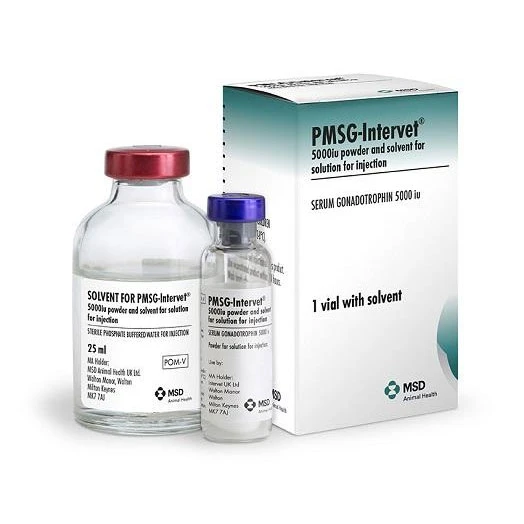 PMSG-Intervet 5000 iu powder and solvent for solution