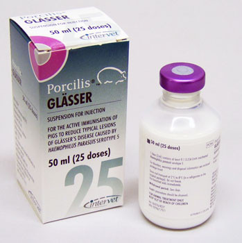 Porcilis Glässer Suspension for injection for pigs 50ml