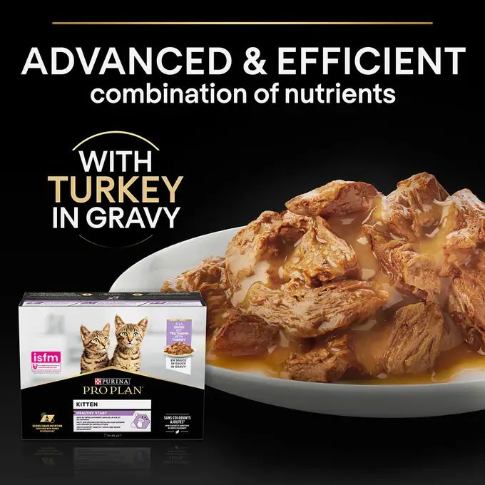 Pro Plan Kitten Healthy Start Turkey in Gravy Wet Cat Food 85g x 10