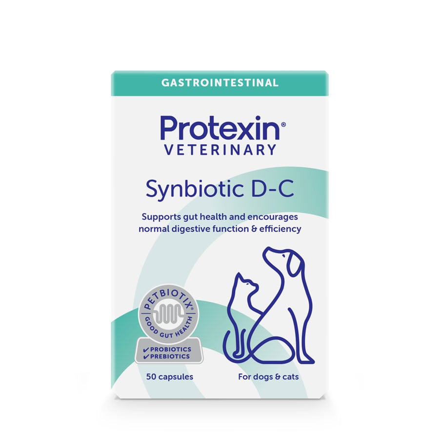 Protexin Synbiotic DC for Dogs & Cats (pack of 50)