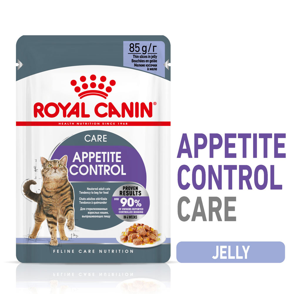 Royal Canin Appetite Control Care in Jelly Adult Wet Cat Food 85g Pouches (pack of 12)