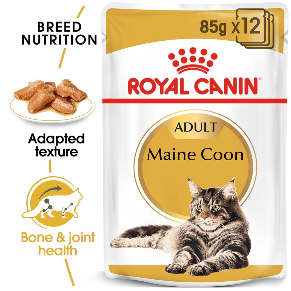 Royal Canin Maine Coon Adult Wet Cat Food (in gravy)