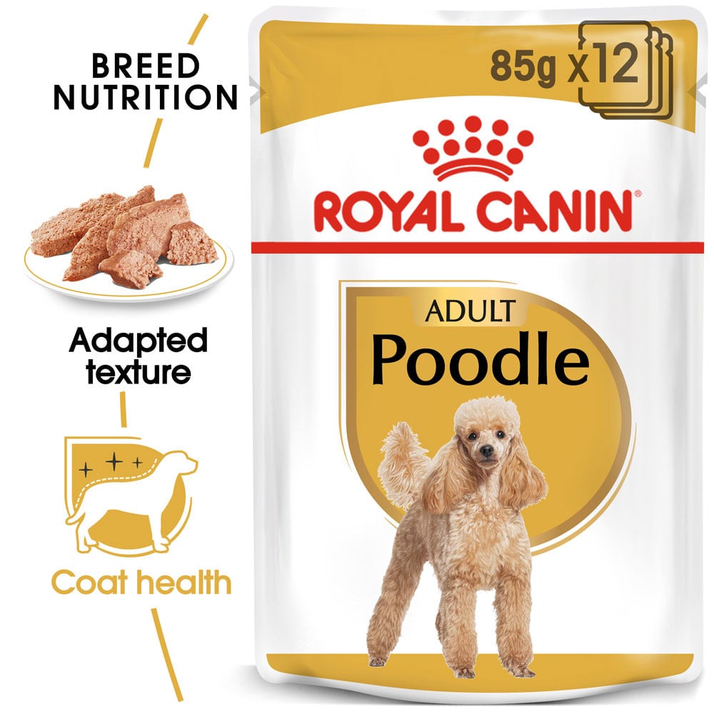 Royal Canin Poodle Adult Wet Dog Food (85g x 12 Pouches)