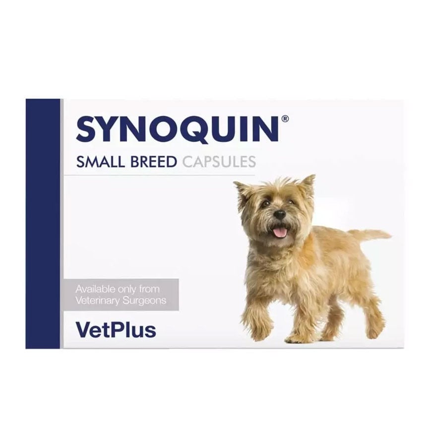 Synoquin Small Breed Capsules (pack of 90) for dogs under 10kg