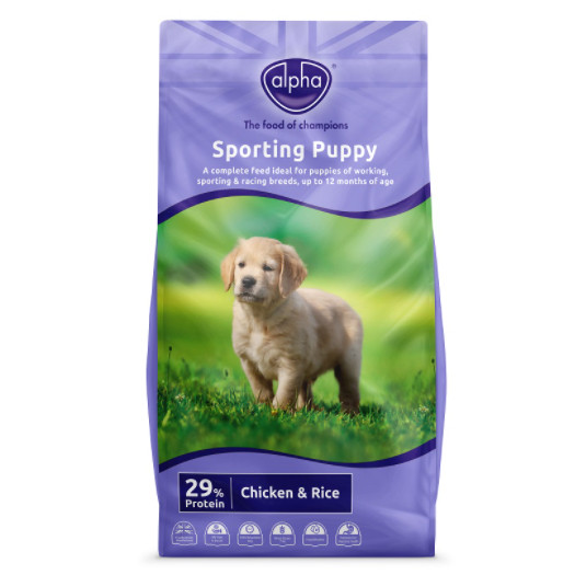 Alpha Sporting Puppy