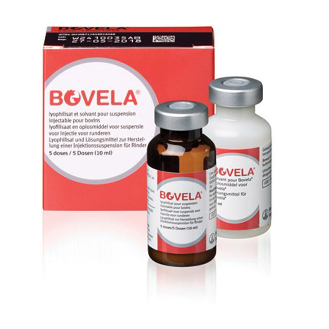 Bovela Injection for Cattle