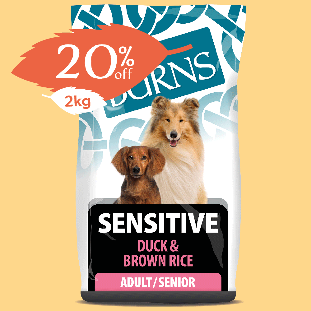 Burns Sensitive Duck & Brown Rice