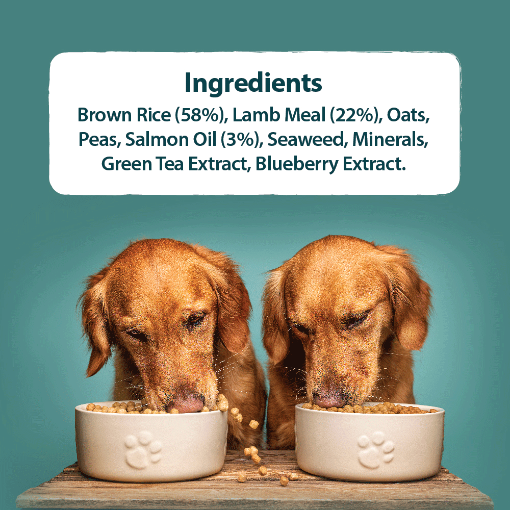 Burns Alert Assistance Lamb & Brown Rice