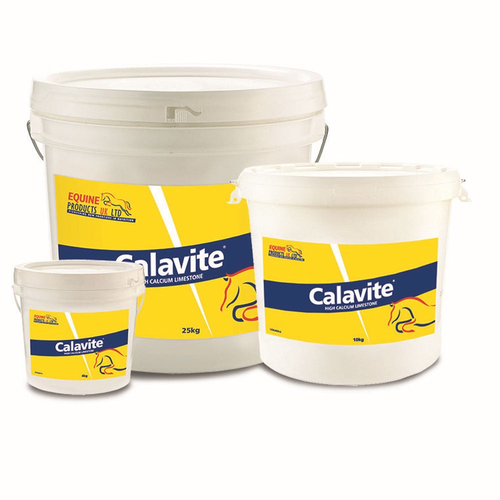 Calavite