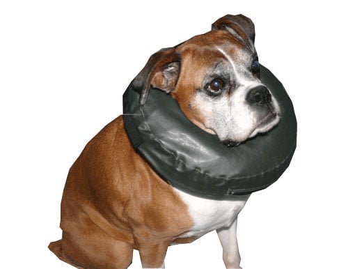 Comfy Collar