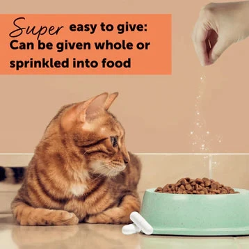 Feliway Cystease Capsules