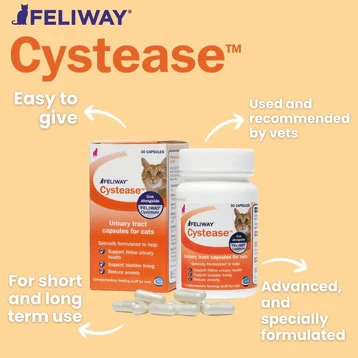 Feliway Cystease Capsules