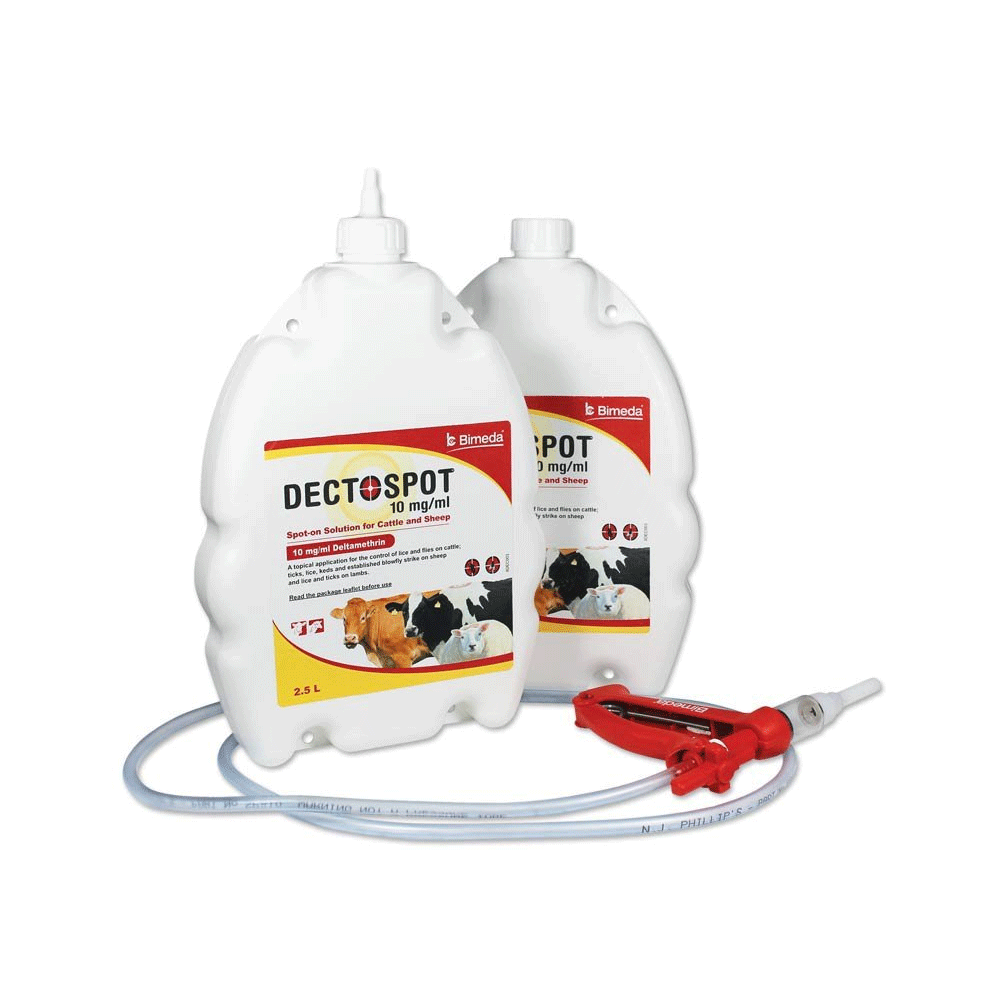 Dectospot 10mg/ml Spot-on Solution for Cattle and Sheep