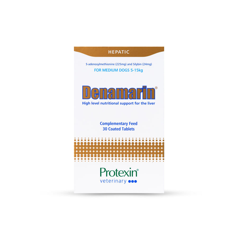 Protexin Denamarin Tablets for Dogs & Cats