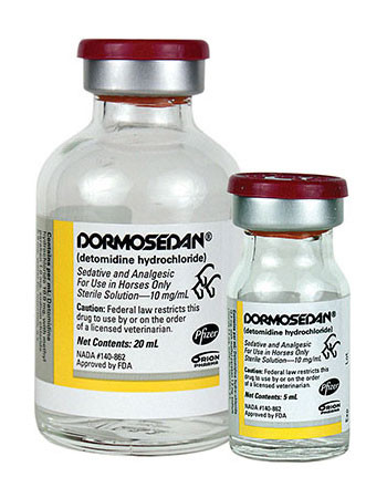 Domosedan 10 mg/ml Solution for Injection