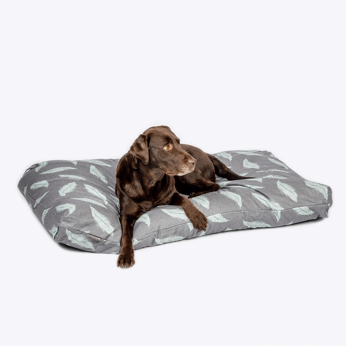 Danish Design Retreat Feathers Grey Duvet