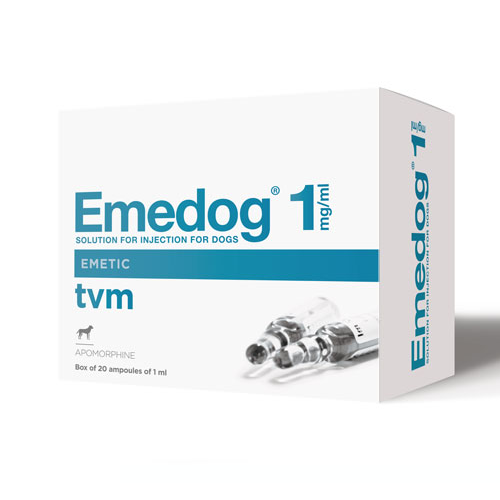 Emedog 1mg/ml solution for injection for dogs