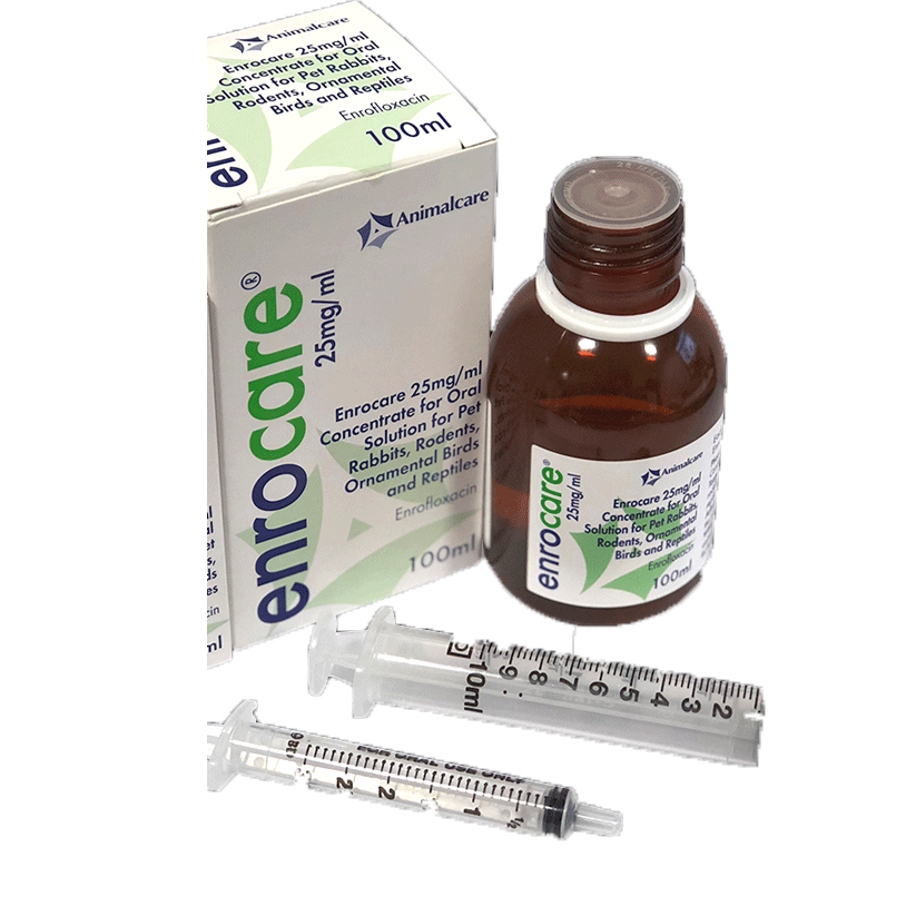 Enrocare 25mg/ml Concentrate for Oral Solution